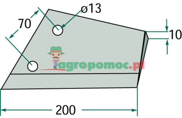 Lemiesz skrzydełkowy | 3374402 | zdjęcie nr 2